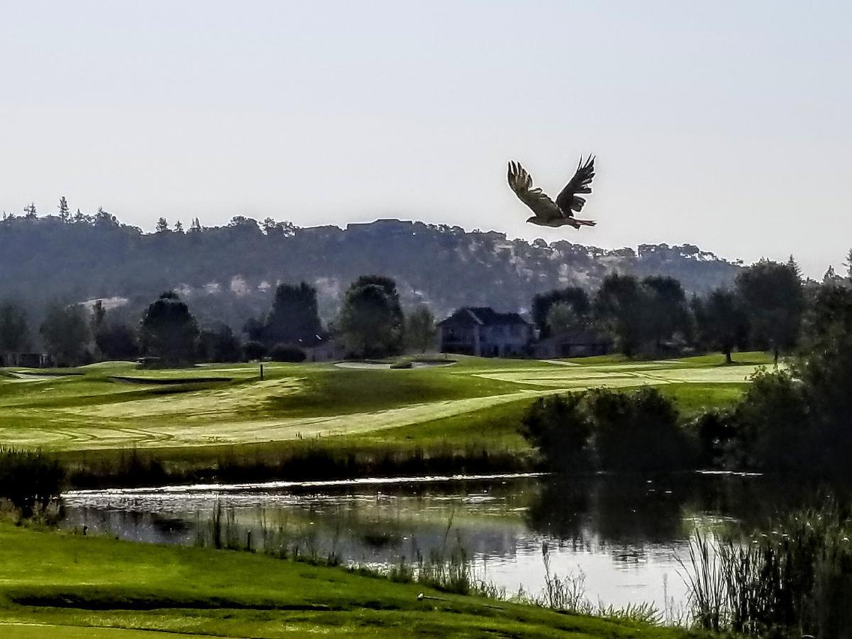 Resort At Eagle Point Golf Club Lodging ภายนอก รูปภาพ