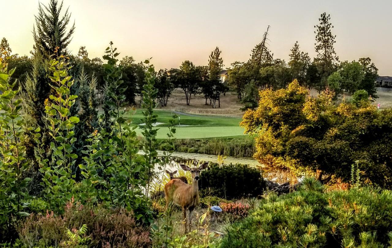 Resort At Eagle Point Golf Club Lodging ภายนอก รูปภาพ